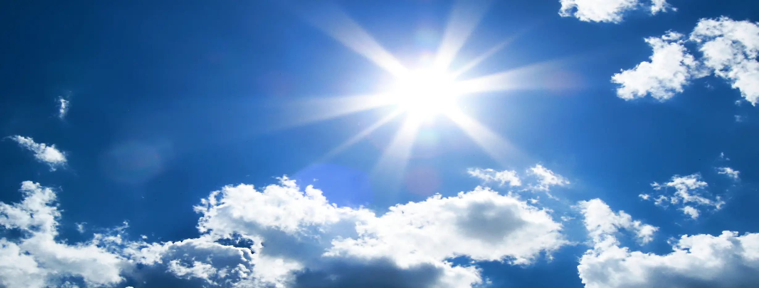 Image for Favorable Climate